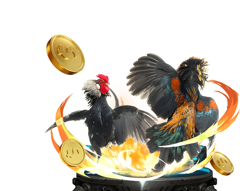 Đá gà Thomo tại MH88 Casino